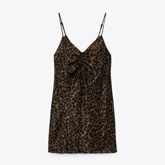Zara Dresses & Skirts - Zara Cheetah Mini Dress